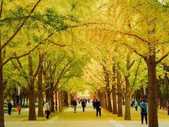 北京推出14条秋游文化线路