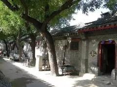 北京首条古树主题文化胡同建成