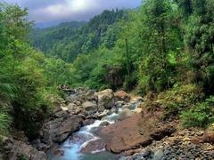 网红景点成夺命险地 平台推荐担责吗?