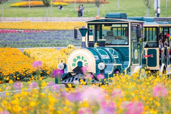 解锁浙江小城中的多巴胺美景