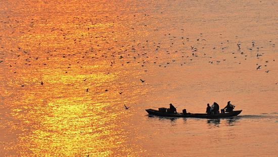 沙鸥翔集、锦鳞游泳——烟波浩渺的洞庭湖