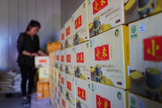 在沈阳市康平县方家屯镇东小陵村，农民将封装好的小米装箱（2022年9月21日摄）。新华社记者 杨青 摄