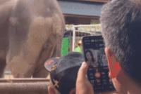 GIF|你大爷还是你大爷
