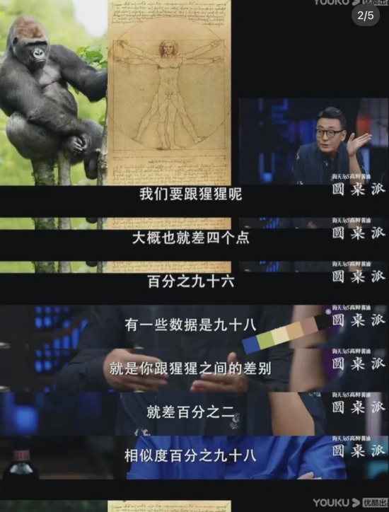 （图源：圆桌派）