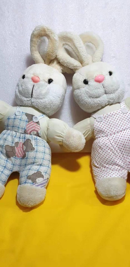  朱伯明称两个31岁的女子，她们的布娃娃在“娃娃诊所”相遇。受访者供图