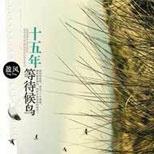 热播剧《十五年等待候鸟》原著,那个我暗恋的男孩