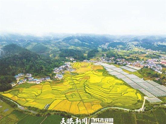  花茂村田园风光美如画。 罗星汉 摄