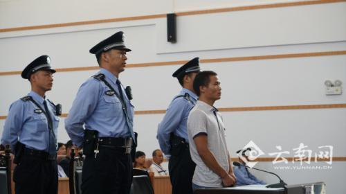 被告人杨清培