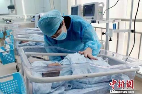 资料图 &nbsp; &nbsp; 芊烨 摄