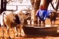 GIF|这可真是神默契