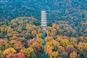 一入秋 南京就变成了金陵