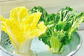 解封之日就是护肤种植园开业