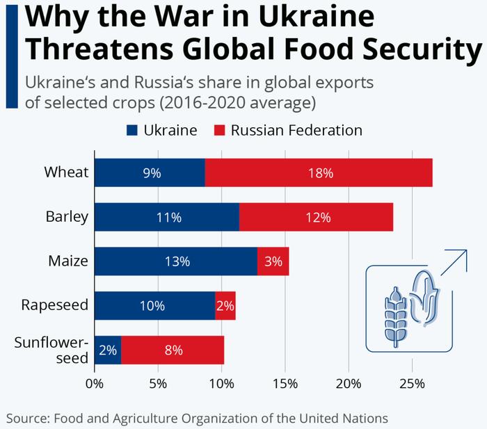 俄乌冲突在全球范围内产生了重大影响，尤其是在粮食安全方面。联合国世界粮食计...