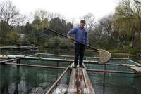 杭州人心心念念的西湖渔亭终于开了 春笋步鱼也来了