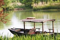 杭州西溪湿地今起预约游览 每天最多24000人