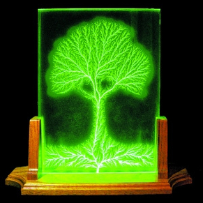 美雕刻家制作闪电雕塑(组图)