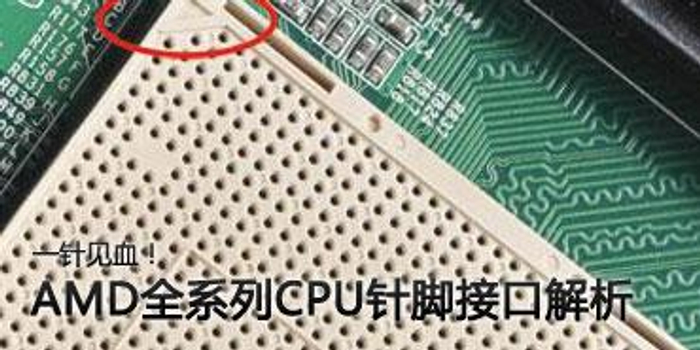 一针定乾坤!AMD全系CPU针脚接口解析_手机新浪网