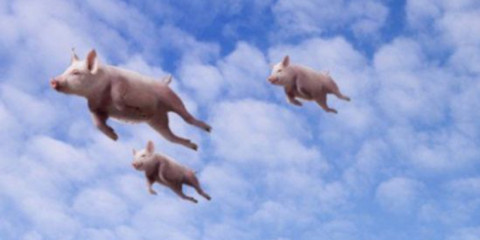 券商股能否再成为飞上天的猪_手机新浪网