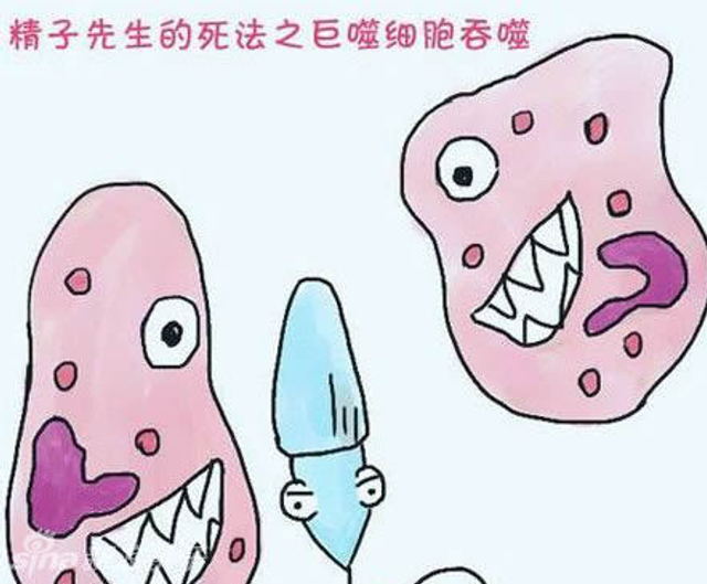 被巨噬细胞吞噬而死
