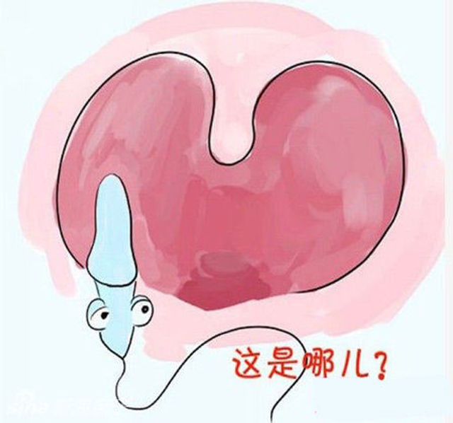 死在扁桃腺……(内涵不解释)