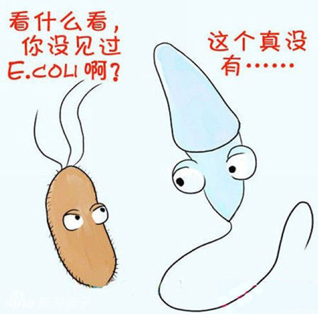 死于大肠杆菌......