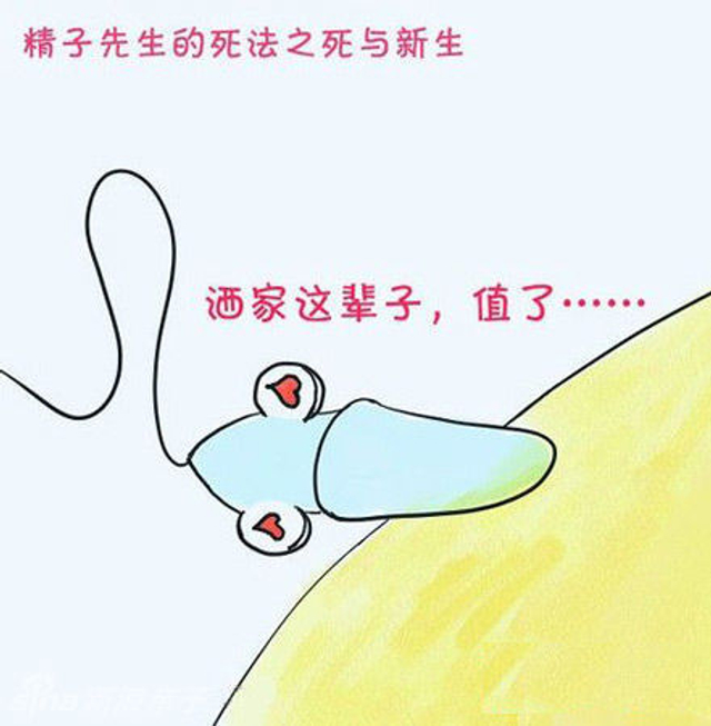 值了,进入卵巢外壁膜……终于成功了!