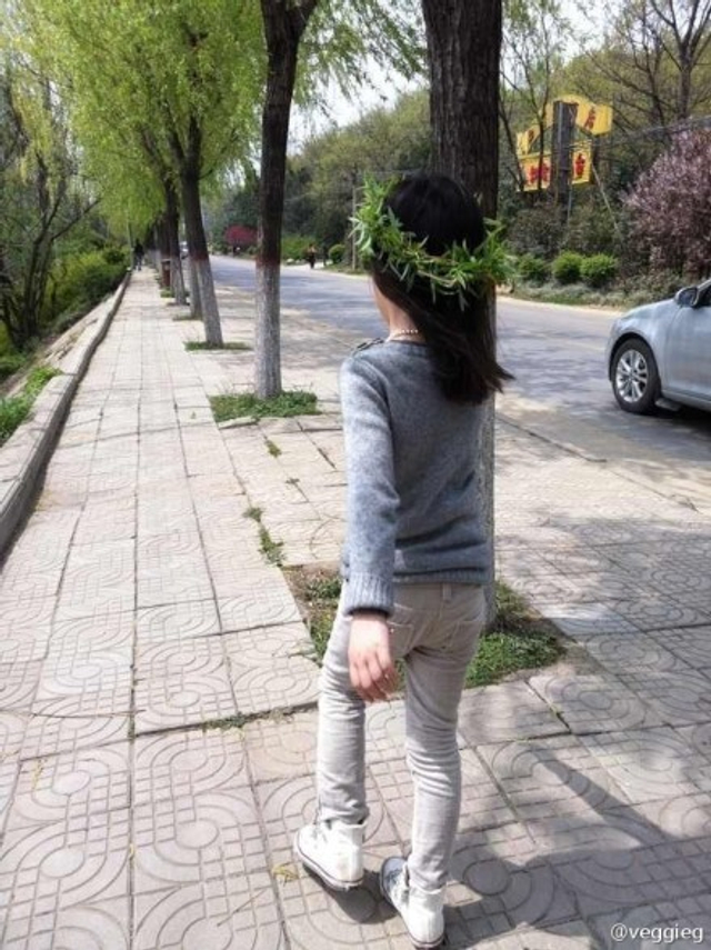 王菲家二姐