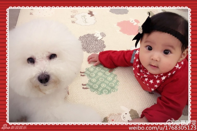 贾静雯女儿吃饭超激萌