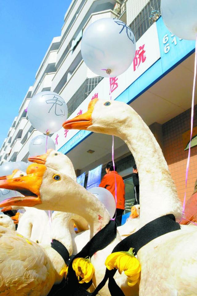 鹅夫人人均消费(3)