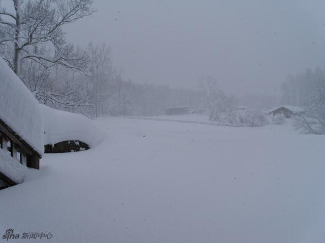 美国西弗吉尼亚州及北卡来罗纳州出现暴风雪 新浪图片