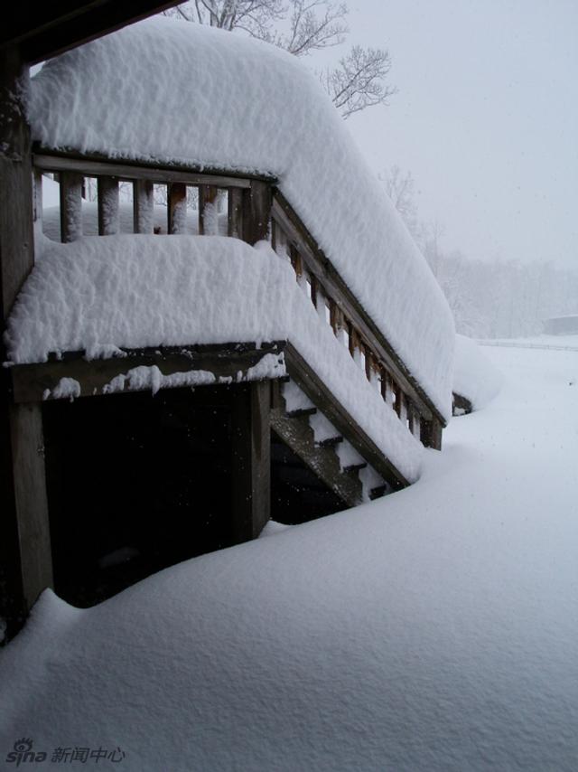 美国西弗吉尼亚州及北卡来罗纳州出现暴风雪 新浪图片