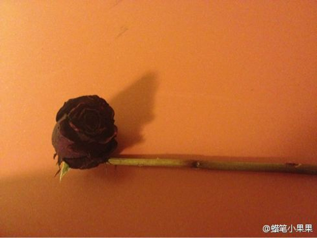 房间电视柜顶上有只玫瑰花