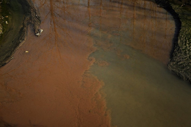 洪河源头附近的水库下游河水逐渐变色