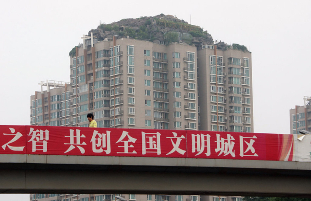 北京教授楼顶盖别墅 假山大树俱全