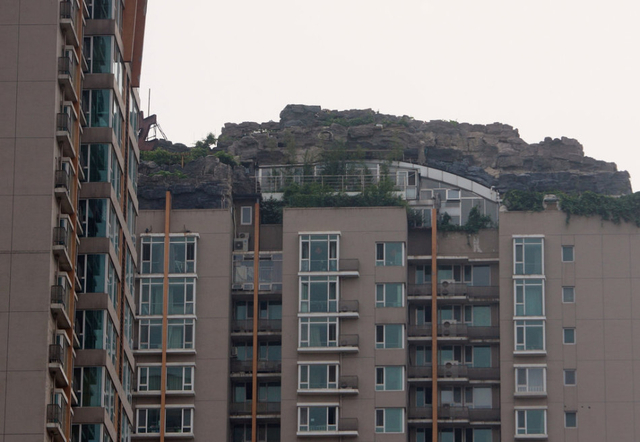 北京教授楼顶盖别墅 假山大树俱全