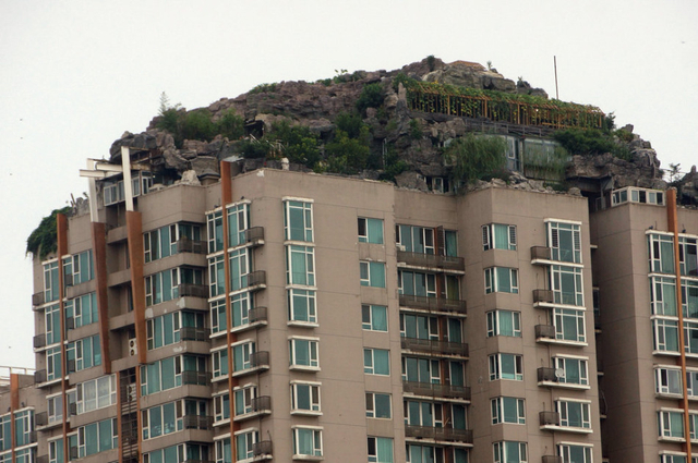 北京教授楼顶盖别墅 假山大树俱全