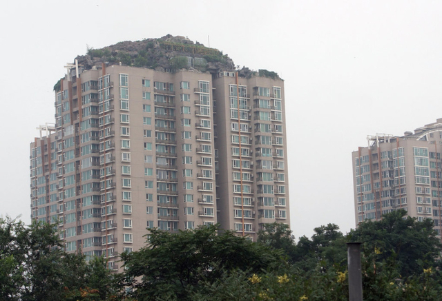 北京教授楼顶盖别墅 假山大树俱全