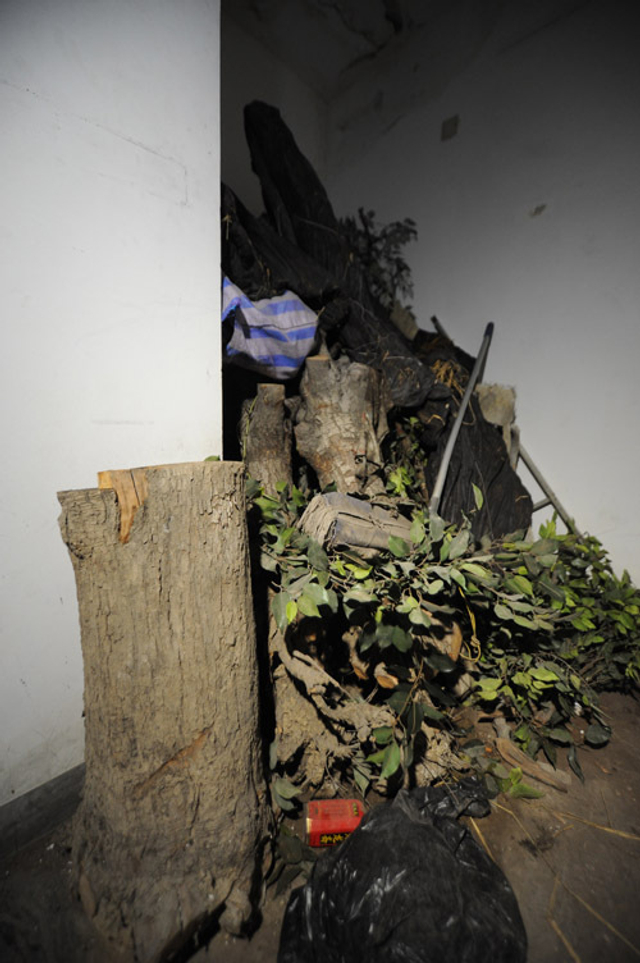 北京教授楼顶盖别墅 假山大树俱全