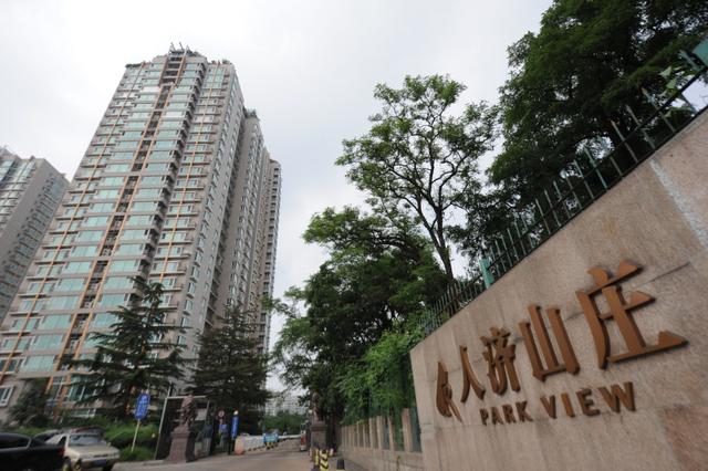 北京教授楼顶盖别墅 假山大树俱全