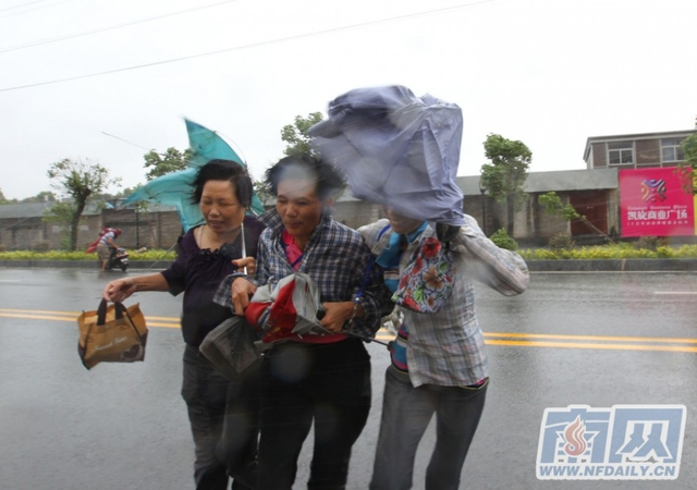 “尤特”来袭 阳江市民猝不及防