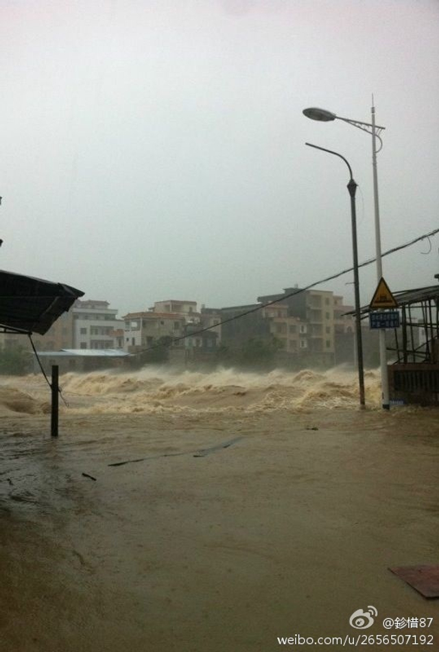 广东茂名高州降水量达460毫米