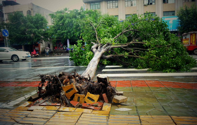 尤特”带来强降雨致广西玉林局部内涝