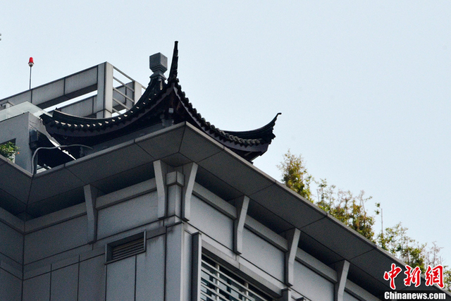 苏州楼顶现400平米“空中园林”