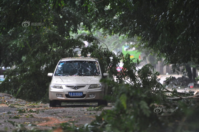 海南多地遭台风袭击狂风暴雨