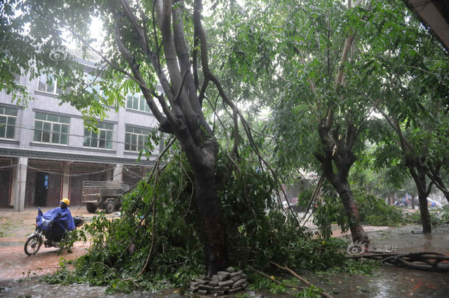 海南多地遭台风袭击狂风暴雨