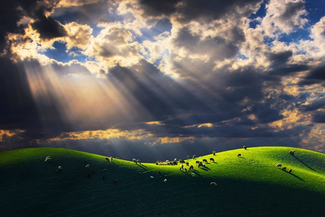 新疆摄影节获奖作品