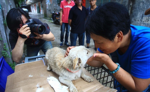 救狗者赴玉林抢买活狗 狗笼前放大悲咒