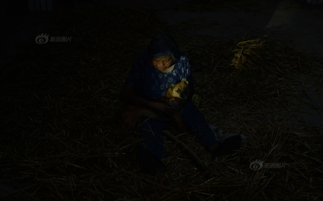 男子3年40余次性侵空巢老人