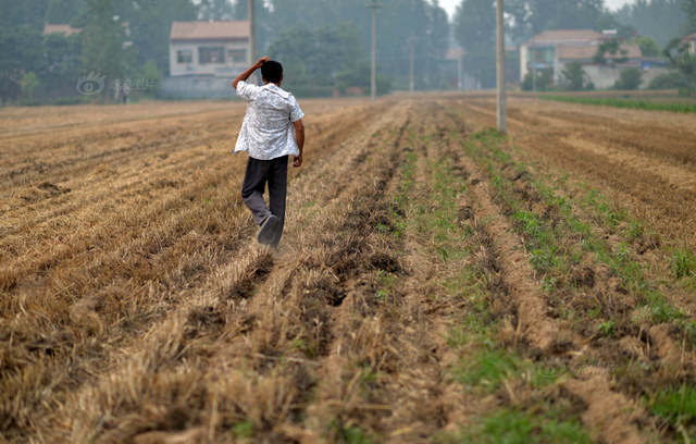 男子3年40余次性侵空巢老人