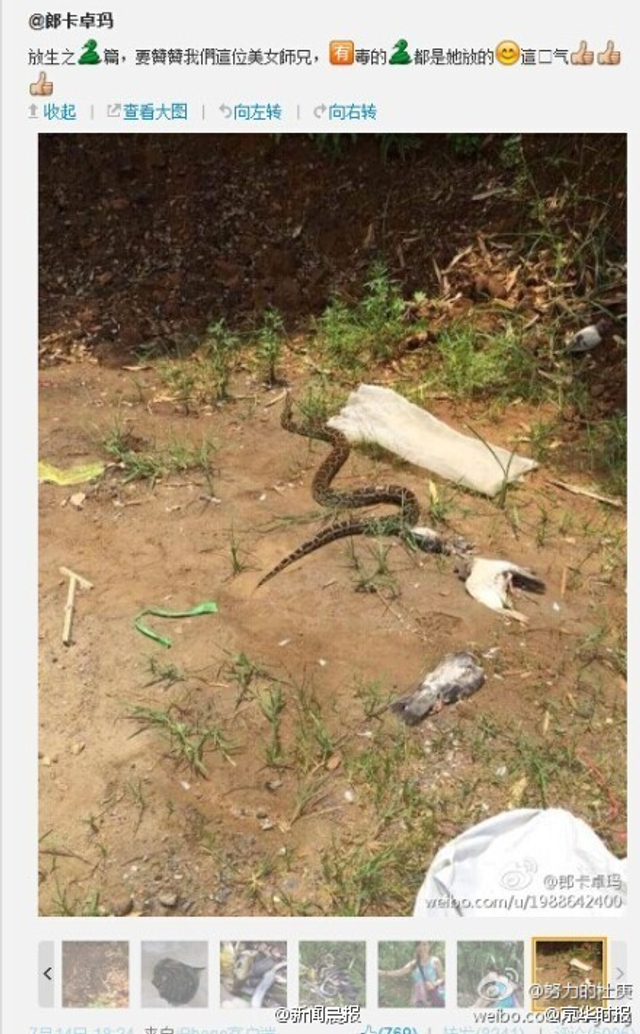广东女子在公园放生眼镜蛇等毒蛇
